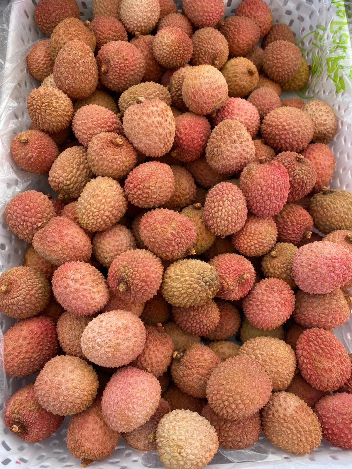 Producto fresco Apolinar Produce 8