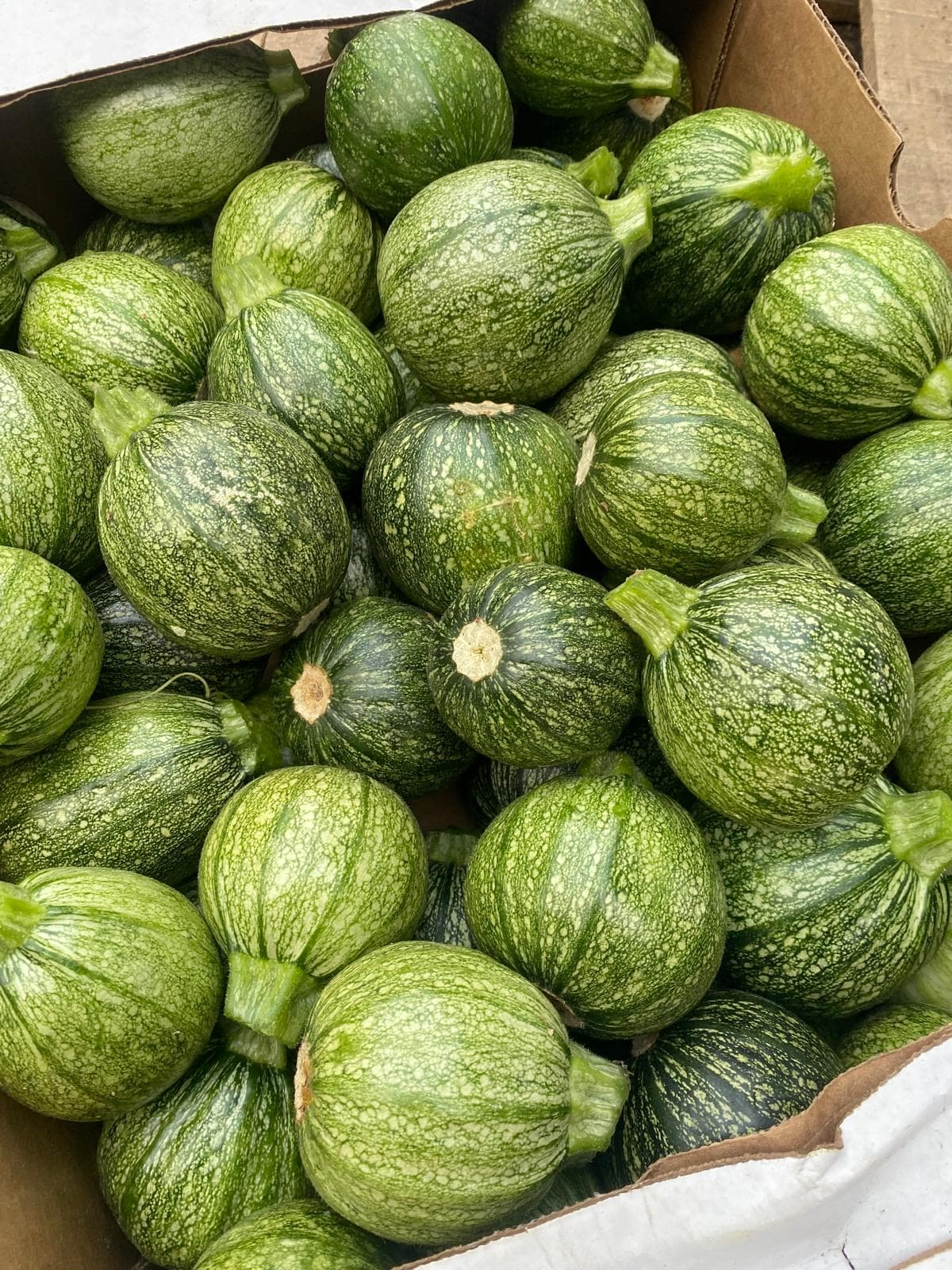 Verduras frescas